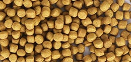 4mm fish feed